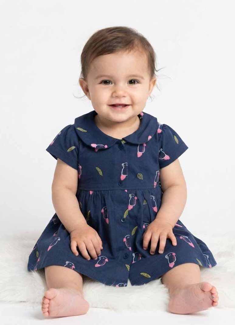 Girls navy blue cotton frock with parrot print and Peter Pan collar